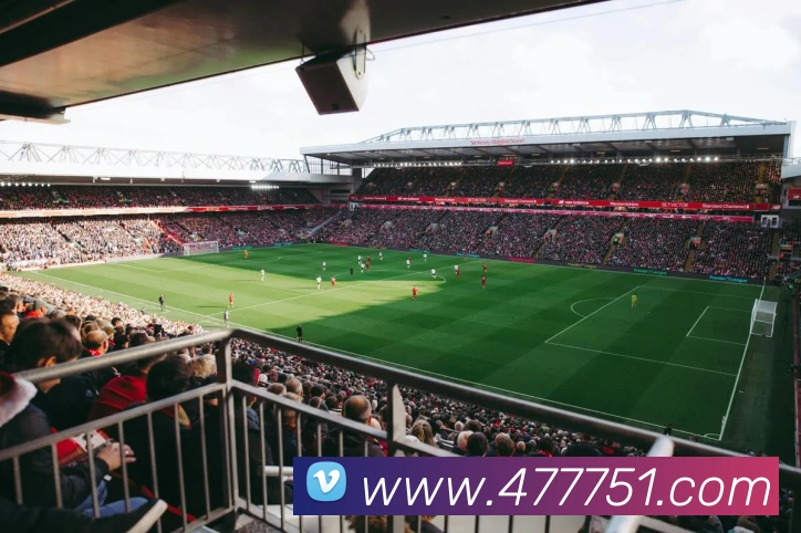 v8体育入口APP 封面图